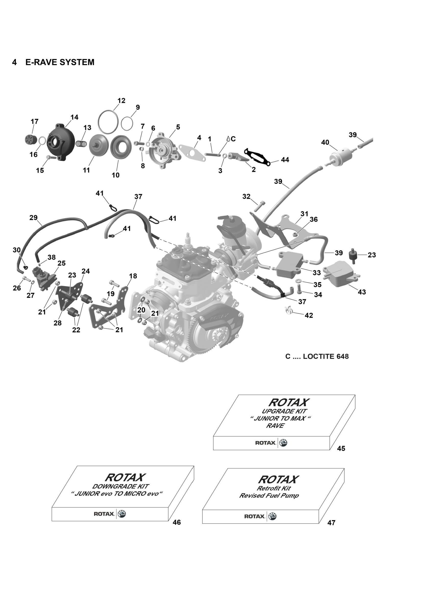 4  E-RAVE SYSTEM