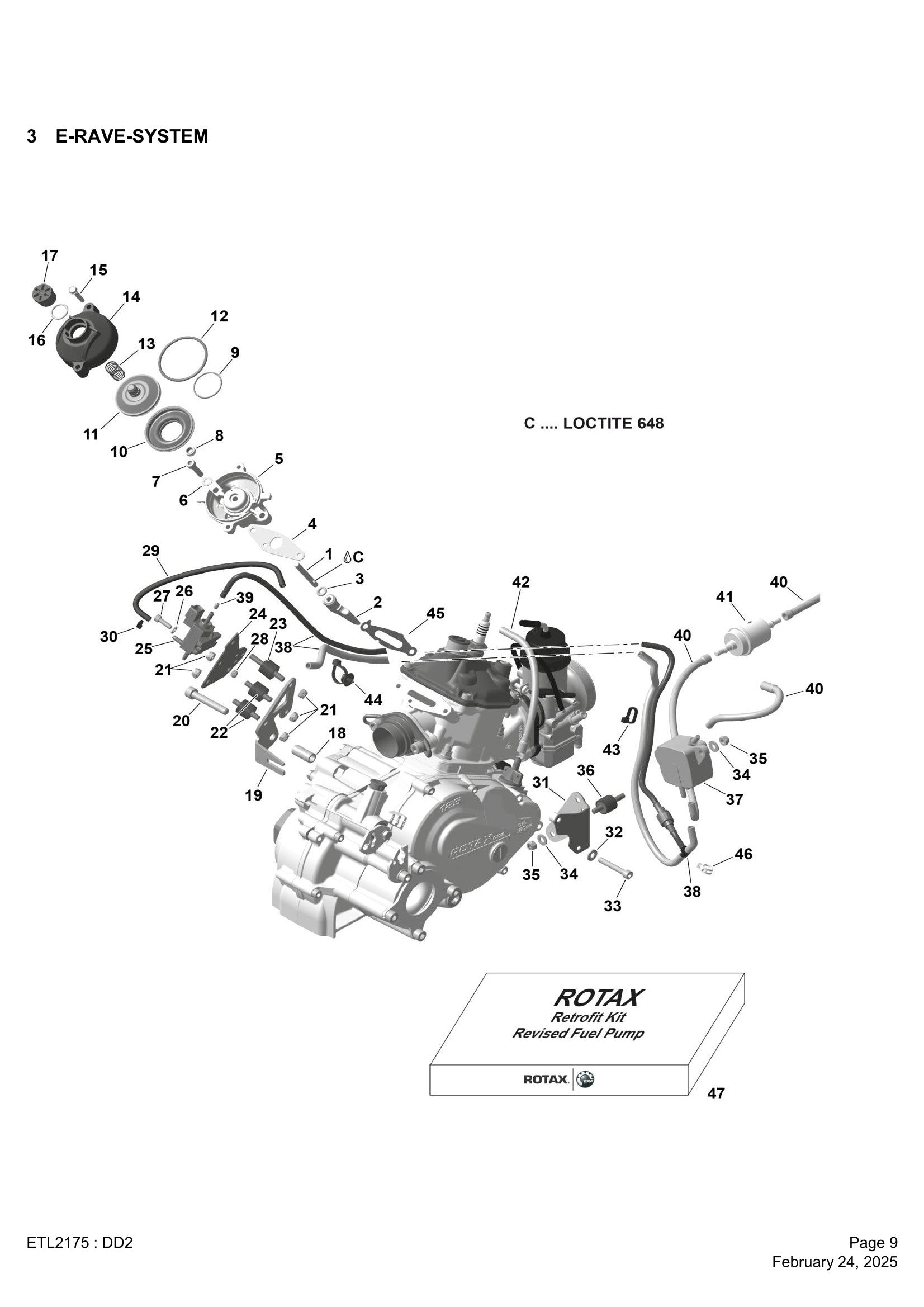 3  DD2 E-RAVE-SYSTEM
