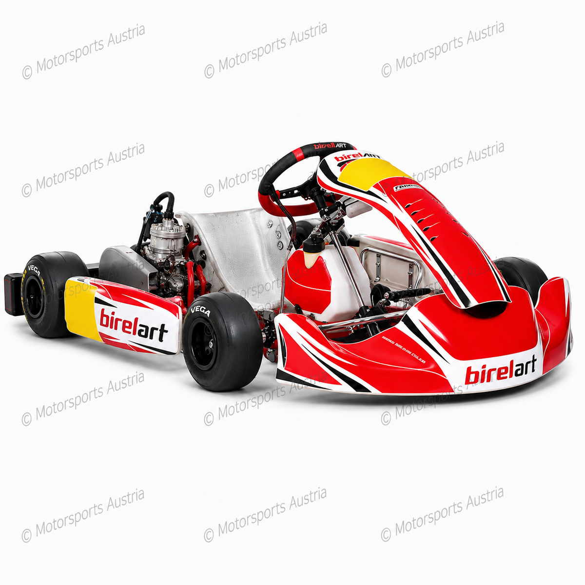 Birel Art - CL - Kubica - Ricciardo Ersatzteile
