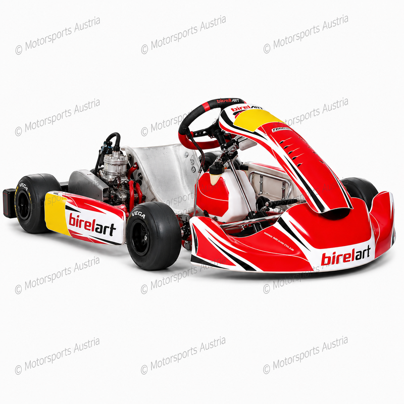Birel Art - CL - Kubica - Ricciardo Ersatzteile