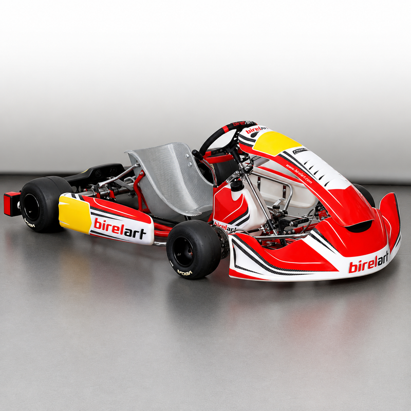 Birel Art Chassis NEU