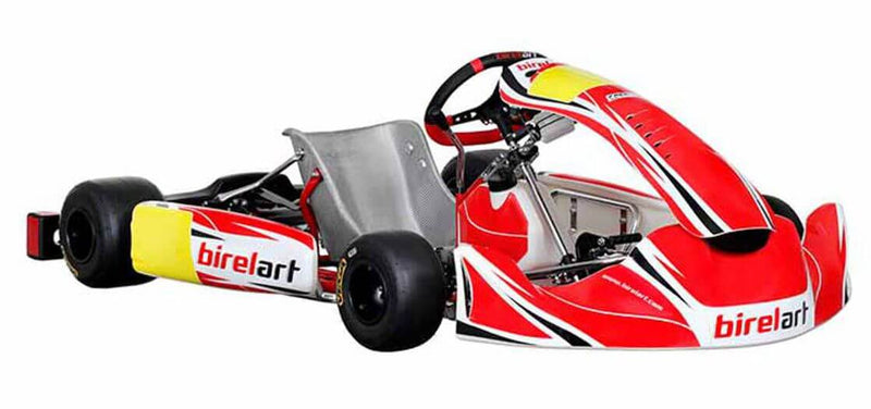 Birel Art - CL - Kubica - Ricciardo Ersatzteile