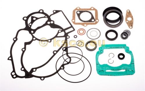 Rotax Dichtungssatz DD2