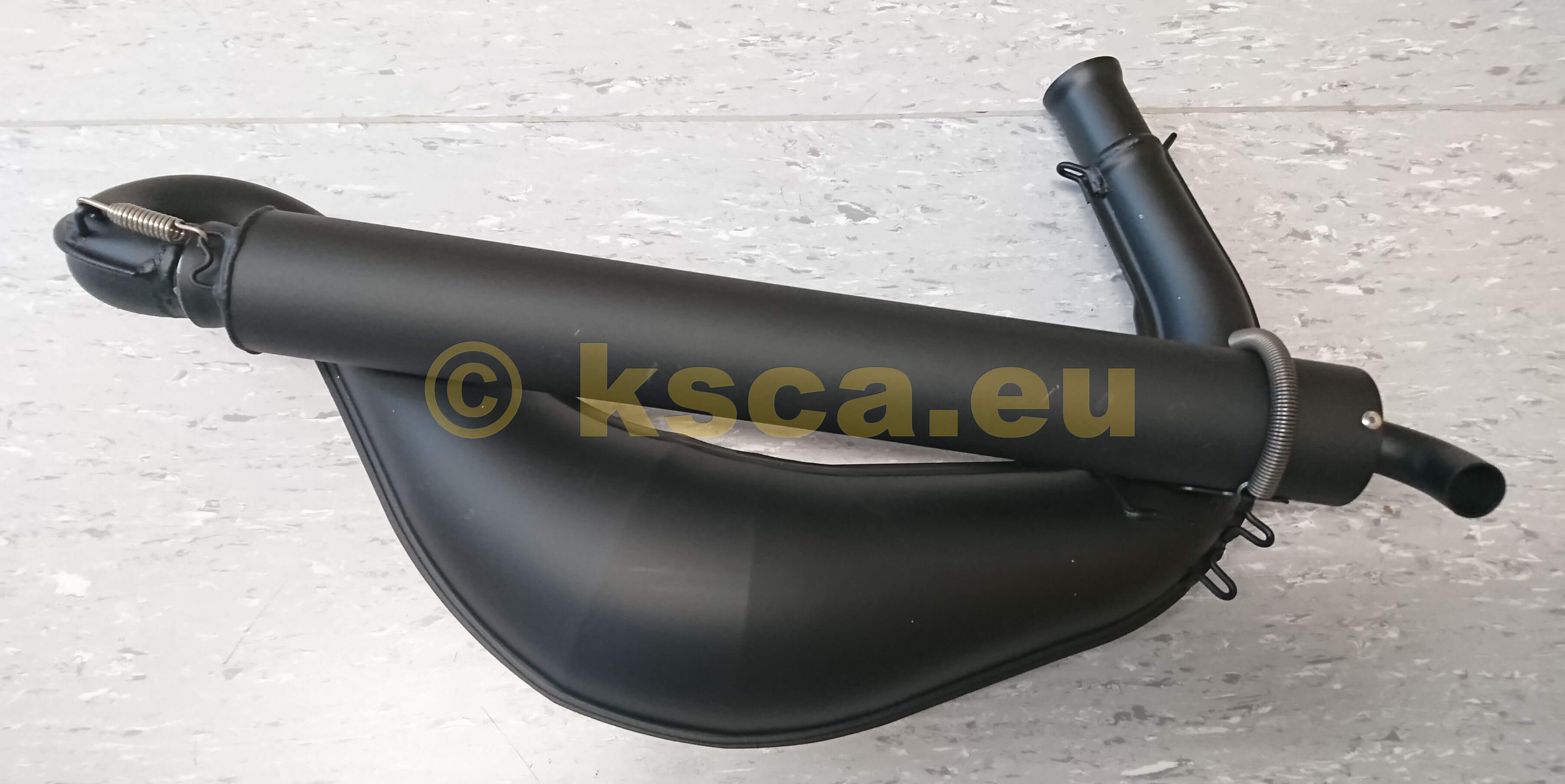 Rotax Aupuffanlage komplett DD2 evo