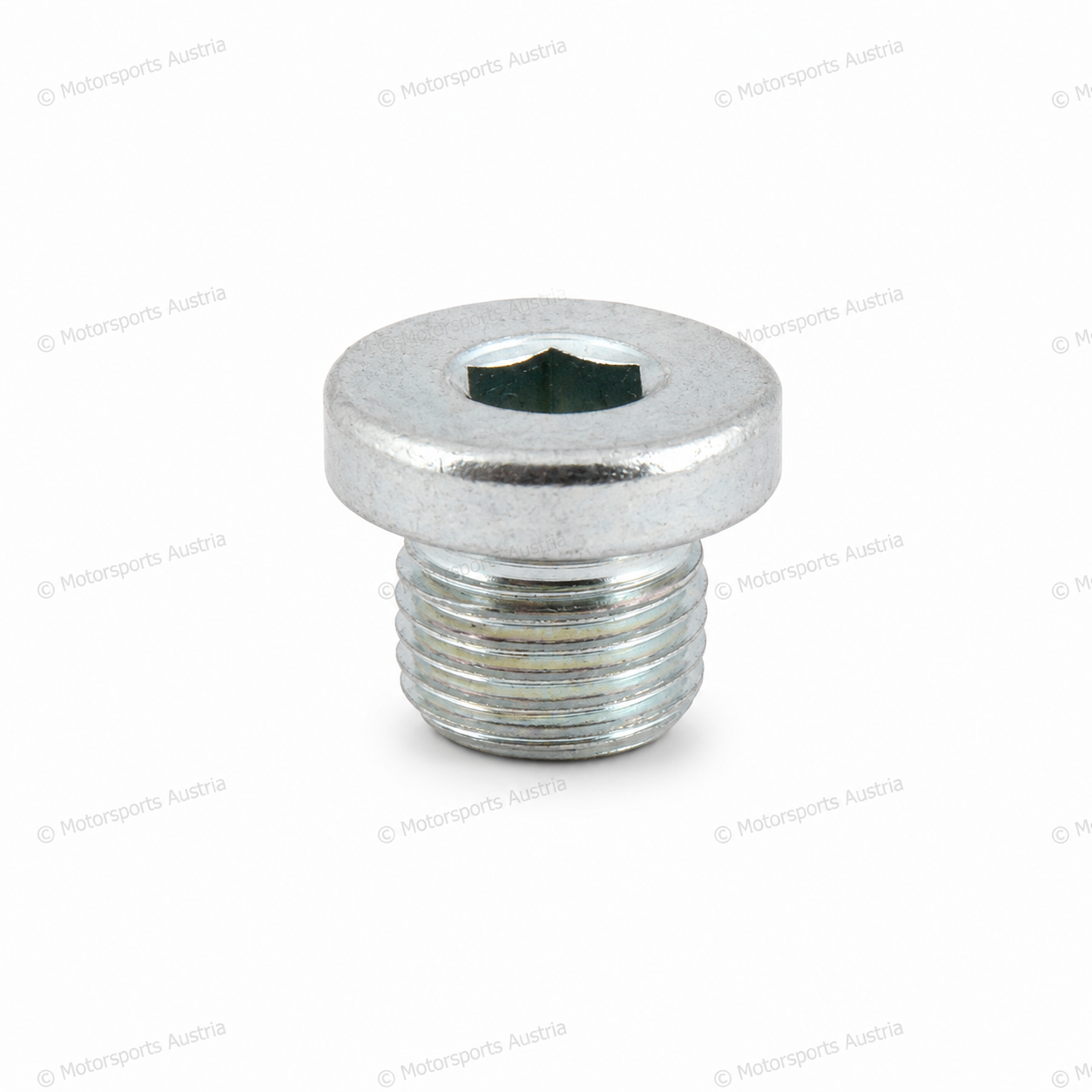 ÖL/Wasser Verschlussschraube M10x1mm