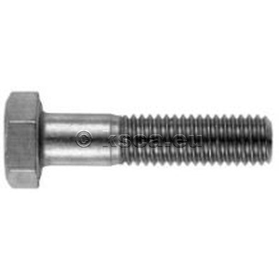 Rotax SK-SCHRAUBE M8X30 DIN931 10.9 INOX (NIRO)