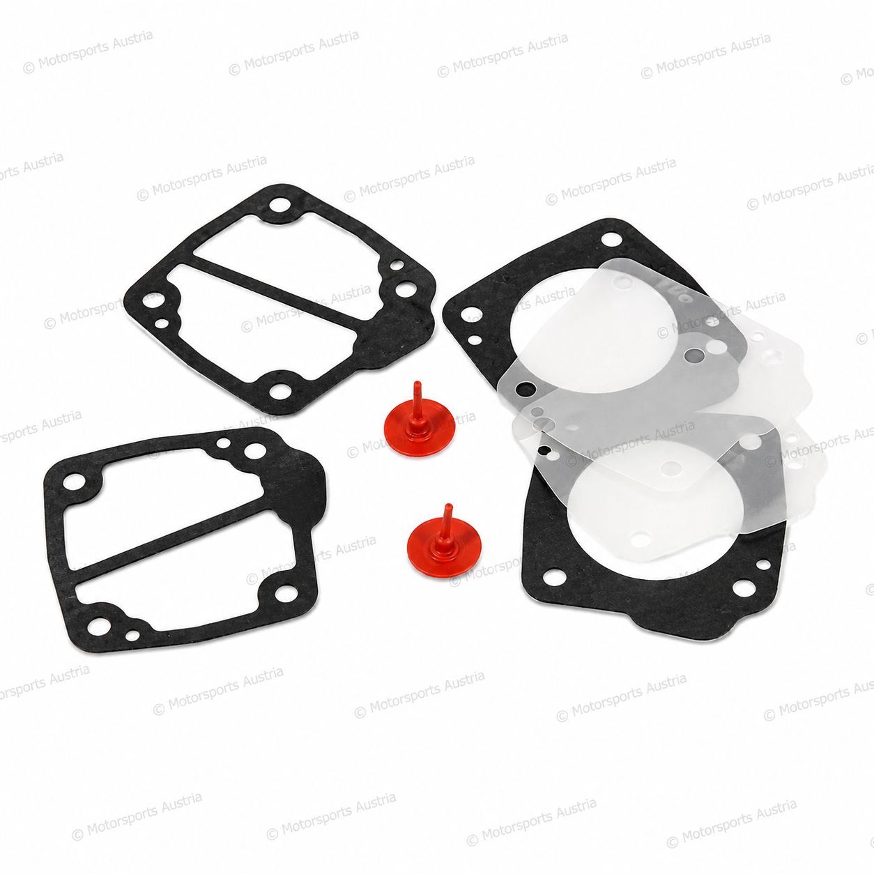 Rotax Dichtungset Benzinpumpe Dellorto P34 PB2