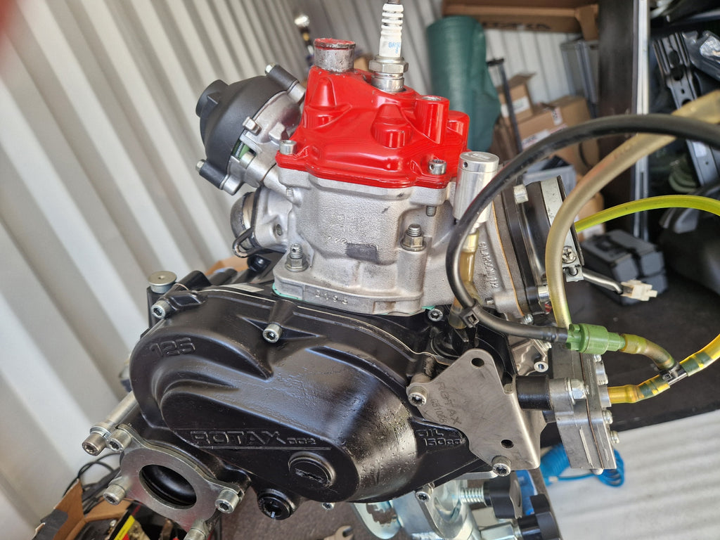 Rotax DD2 Motor komplett inkl. Zubehör und Montage auf Kart! fahrfertig!