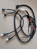 Kabelbaum Motore TM LKE IAME VORTEX PRD NEU