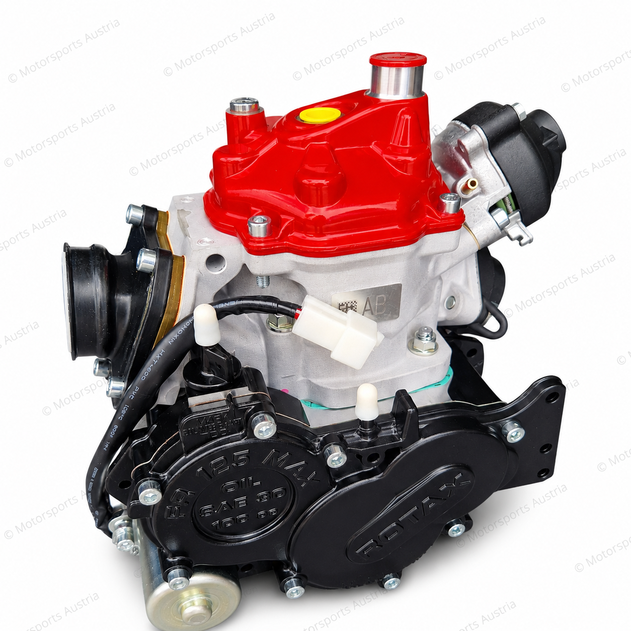 Rotax 125 SENIOR MAX Evo 2026