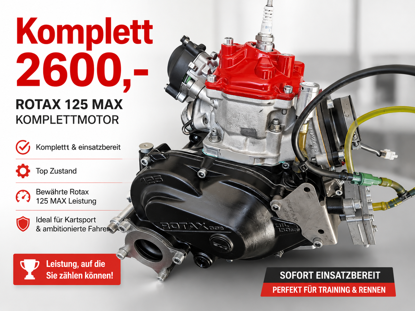 Rotax DD2 Motor komplett inkl. Zubehör und Montage auf Kart! fahrfertig!